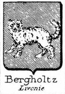 Bergholtz Coat of Arms / Family Crest 0
