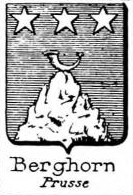 Berghorn Coat of Arms / Family Crest 0