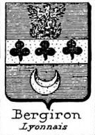 Bergiron Coat of Arms / Family Crest 0
