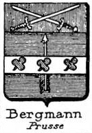 Bergmann Coat of Arms / Family Crest 3