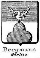 Bergmann Coat of Arms / Family Crest 4