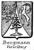 Bergmann Coat of Arms / Family Crest 7