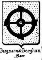 Bergmann Coat of Arms / Family Crest 8