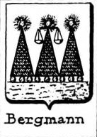 Bergmann Coat of Arms / Family Crest 9
