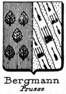 Bergmann Coat of Arms / Family Crest 2