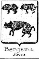 Bergsma Coat of Arms / Family Crest 0