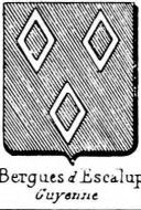 Bergues Coat of Arms / Family Crest 0