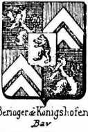 Beringer Coat of Arms / Family Crest 10