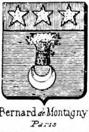 Bernard Coat of Arms / Family Crest 80