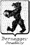 Bernegger Coat of Arms / Family Crest 0