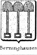 Berninghausen Coat of Arms / Family Crest 0