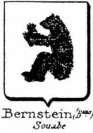 Bernstein Coat of Arms / Family Crest 4