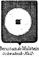 Bernstein Coat of Arms / Family Crest 5