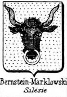 Bernstein Coat of Arms / Family Crest 6