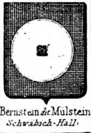 Bernstein Coat of Arms / Family Crest 7