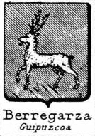 Berregarza Coat of Arms / Family Crest 0
