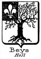 Beys Coat of Arms / Family Crest 2