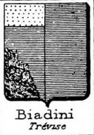 Biadini Coat of Arms / Family Crest 0