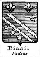 Biasii Coat of Arms / Family Crest 1