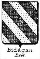 Bidegan Coat of Arms / Family Crest 0