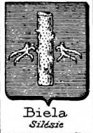Biela Coat of Arms / Family Crest 0