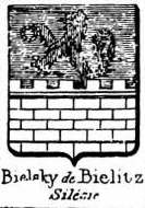 Bielsky Coat of Arms / Family Crest 2