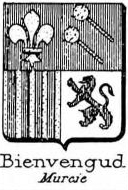 Bienvengud Coat of Arms / Family Crest 0