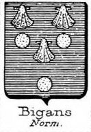 Bigans Coat of Arms / Family Crest 0