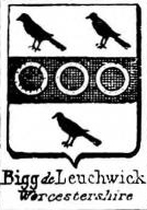 Bigg Coat of Arms / Family Crest 8