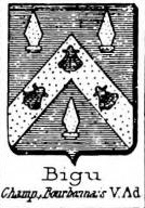 Bigu Coat of Arms / Family Crest 0