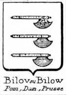 Bilov Coat of Arms / Family Crest 0