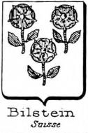 Bilstein Coat of Arms / Family Crest 6