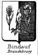 Bindauf Coat of Arms / Family Crest 3