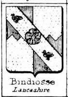 Bindlosse Coat of Arms / Family Crest 2
