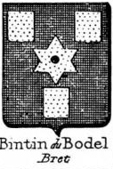 Bintin Coat of Arms / Family Crest 0