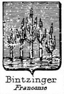 Bintzinger Coat of Arms / Family Crest 0
