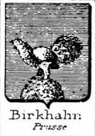 Birkhahn Coat of Arms / Family Crest 2