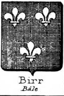 Birr Coat of Arms / Family Crest 0