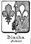 Blacha Coat of Arms / Family Crest 0