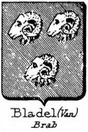 Bladel Coat of Arms / Family Crest 0