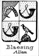 Blaesing Coat of Arms / Family Crest 0