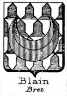 Blain Coat of Arms / Family Crest 0