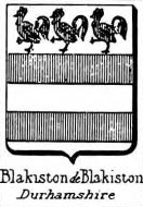 Blakiston Coat of Arms / Family Crest 3