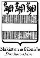 Blakiston Coat of Arms / Family Crest 4