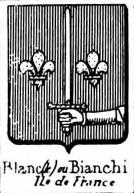 Blanc Coat of Arms / Family Crest 34
