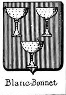 Blanc Coat of Arms / Family Crest 36