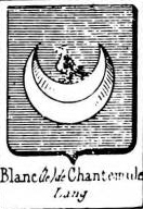 Blanc Coat of Arms / Family Crest 40