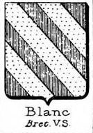Blanc Coat of Arms / Family Crest 10