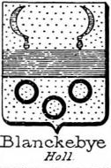 Blanckeybye Coat of Arms / Family Crest 0
