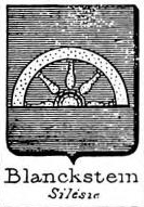 Blanckstein Coat of Arms / Family Crest 0